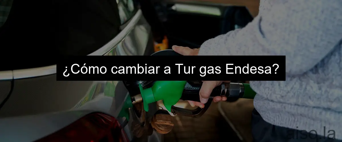 ¿Cómo cambiar a Tur gas Endesa?