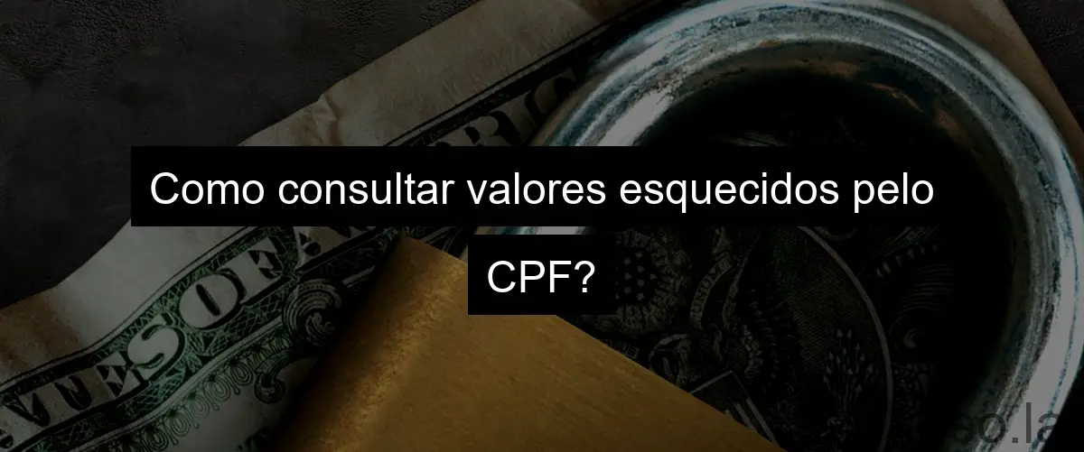 Como consultar valores esquecidos pelo CPF?