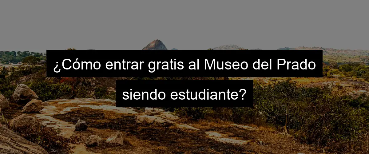 ¿Cómo entrar gratis al Museo del Prado siendo estudiante?