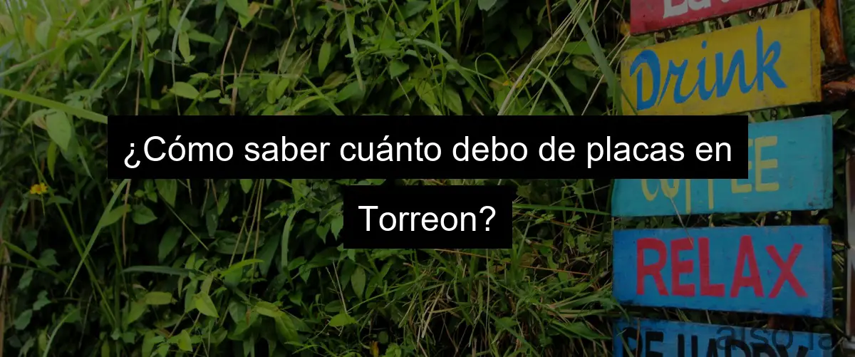 ¿Cómo saber cuánto debo de placas en Torreon?