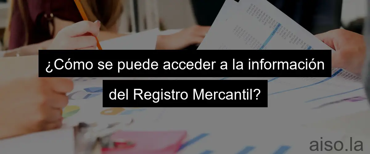 ¿Cómo se puede acceder a la información del Registro Mercantil?