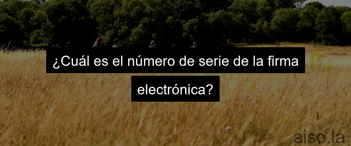 ¿Cuál es el número de serie de la firma electrónica?