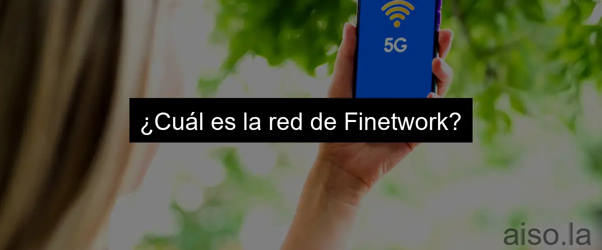 ¿Cuál es la red de Finetwork?