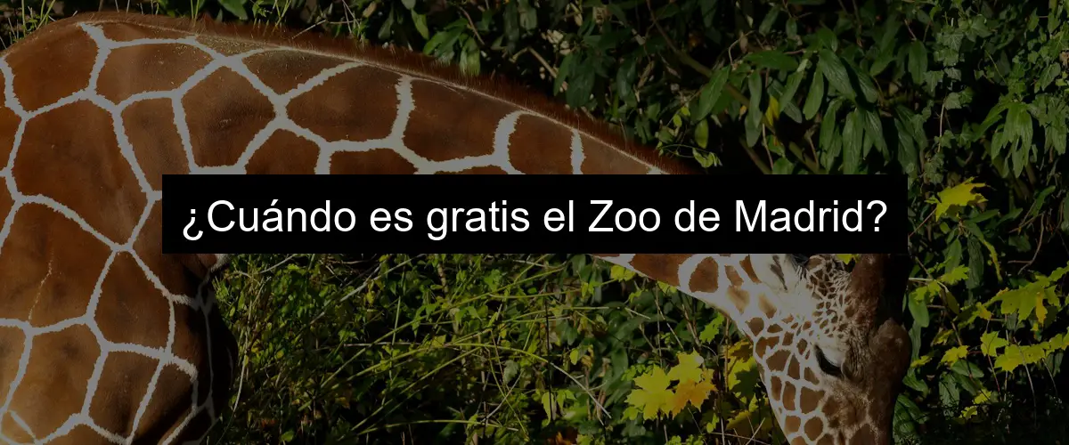 ¿Cuándo es gratis el Zoo de Madrid?
