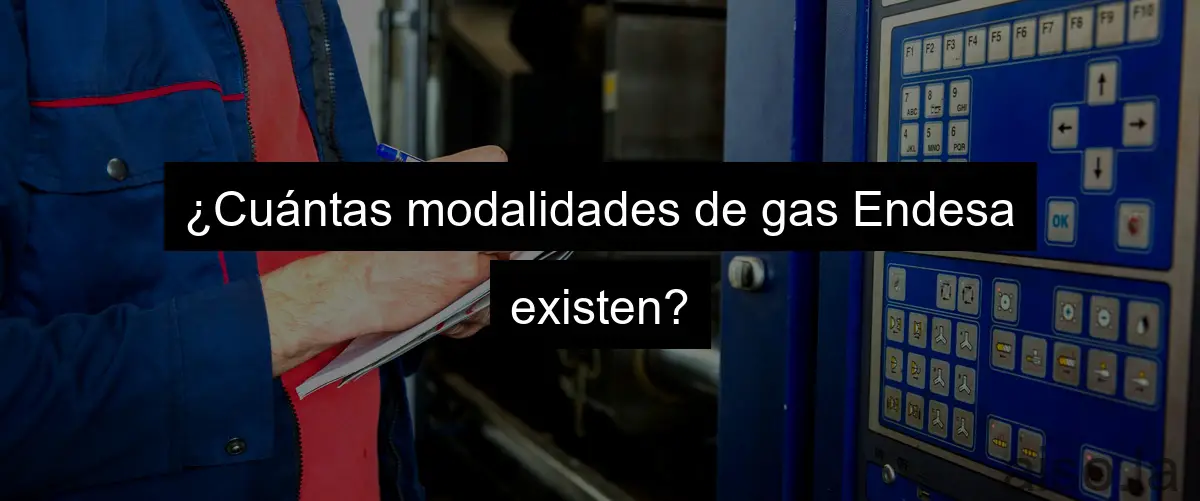 ¿Cuántas modalidades de gas Endesa existen?