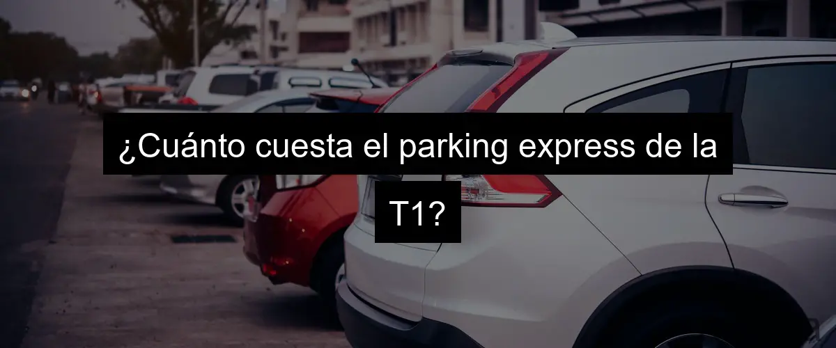 ¿Cuánto cuesta el parking express de la T1?