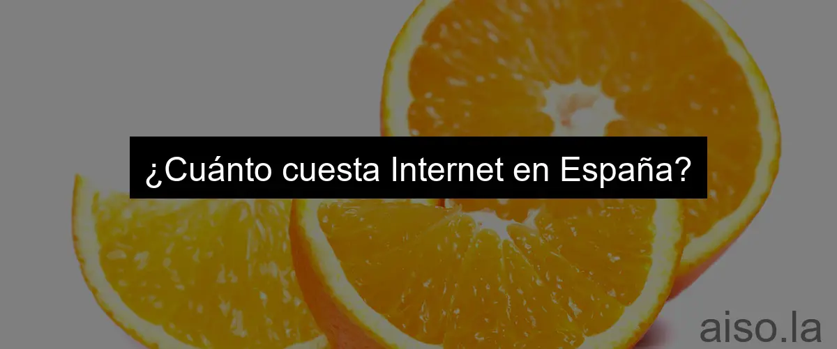 ¿Cuánto cuesta Internet en España?