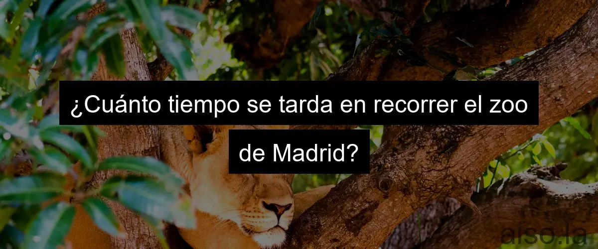 ¿Cuánto tiempo se tarda en recorrer el zoo de Madrid?