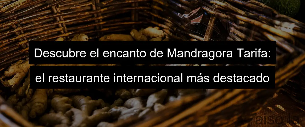 Descubre el encanto de Mandragora Tarifa: el restaurante internacional más destacado