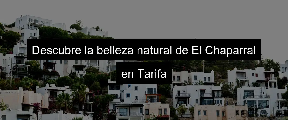 Descubre la belleza natural de El Chaparral en Tarifa