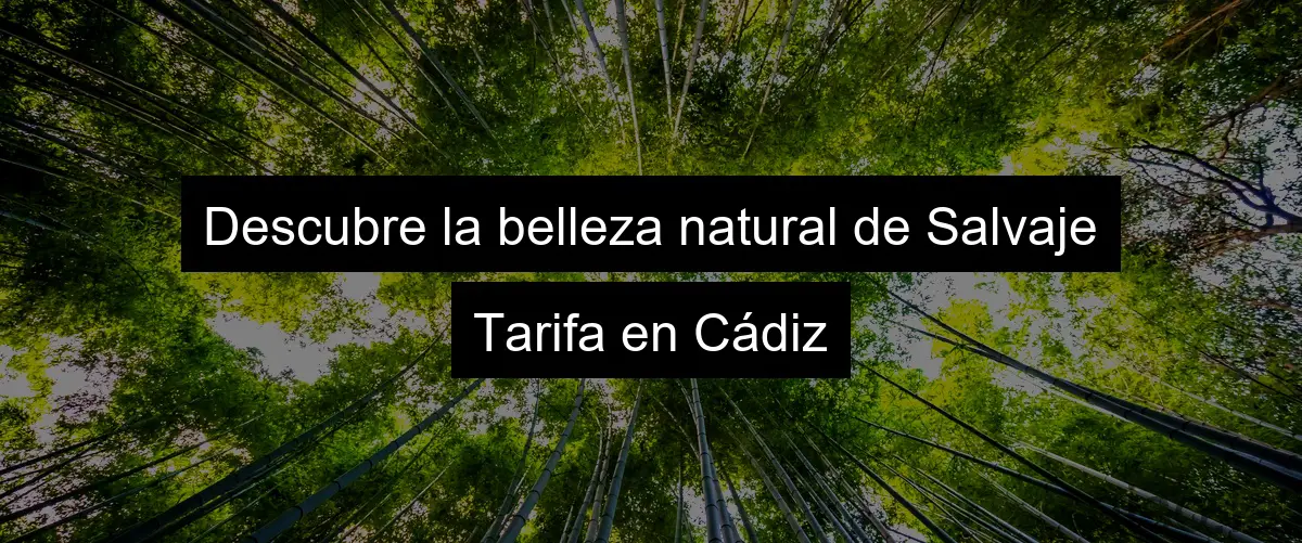 Descubre la belleza natural de Salvaje Tarifa en Cádiz