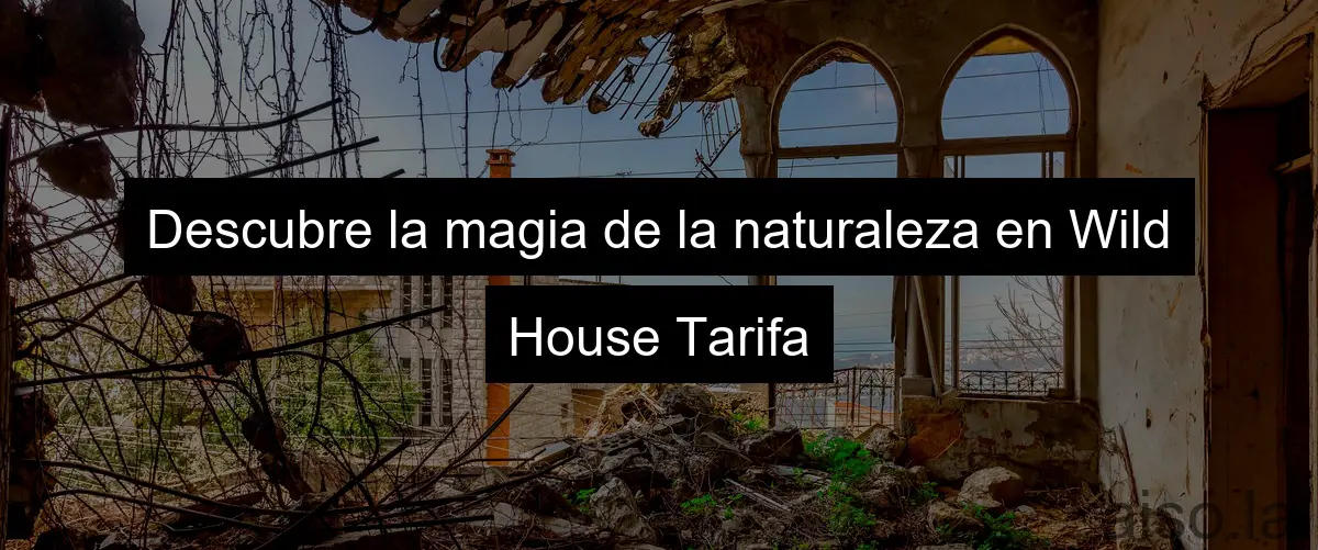 Descubre la magia de la naturaleza en Wild House Tarifa