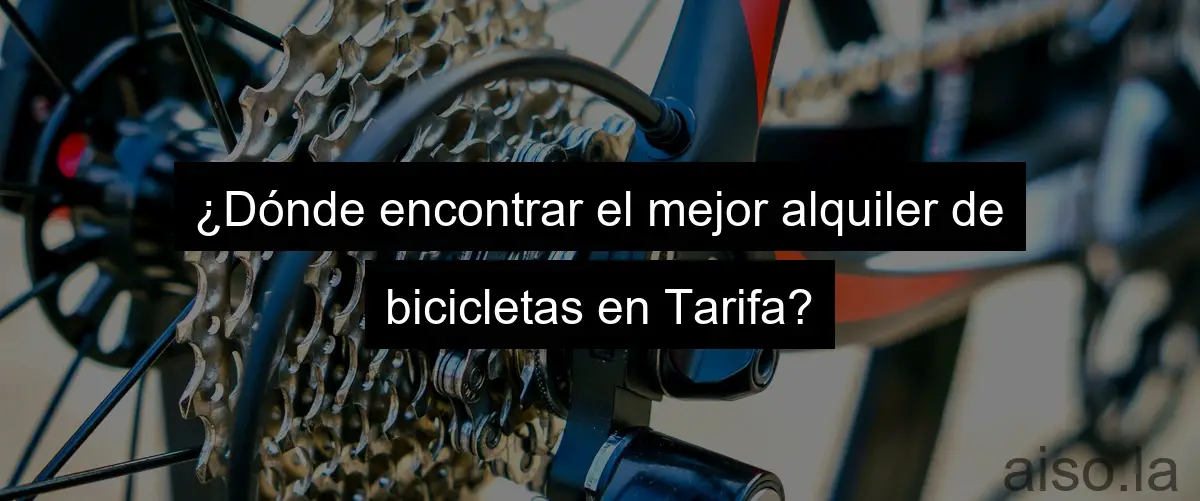 ¿Dónde encontrar el mejor alquiler de bicicletas en Tarifa?