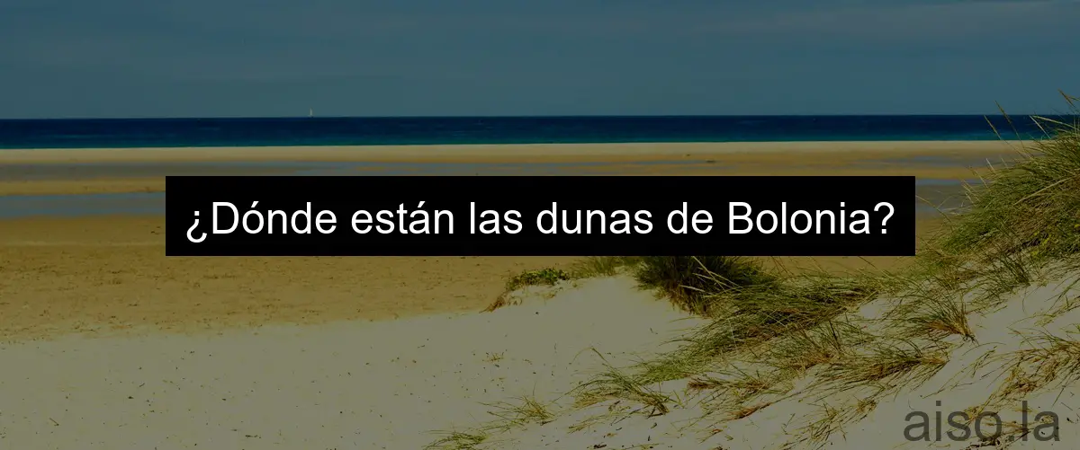¿Dónde están las dunas de Bolonia?