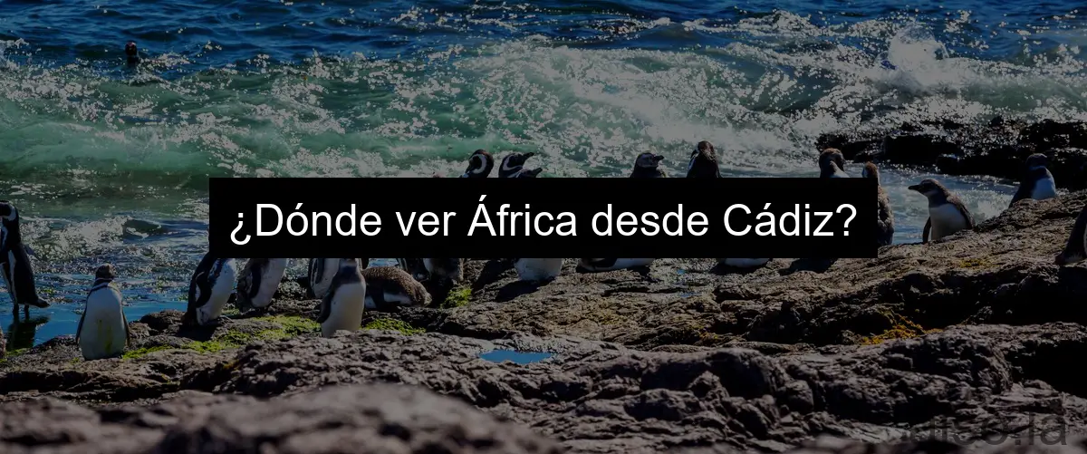 ¿Dónde ver África desde Cádiz?