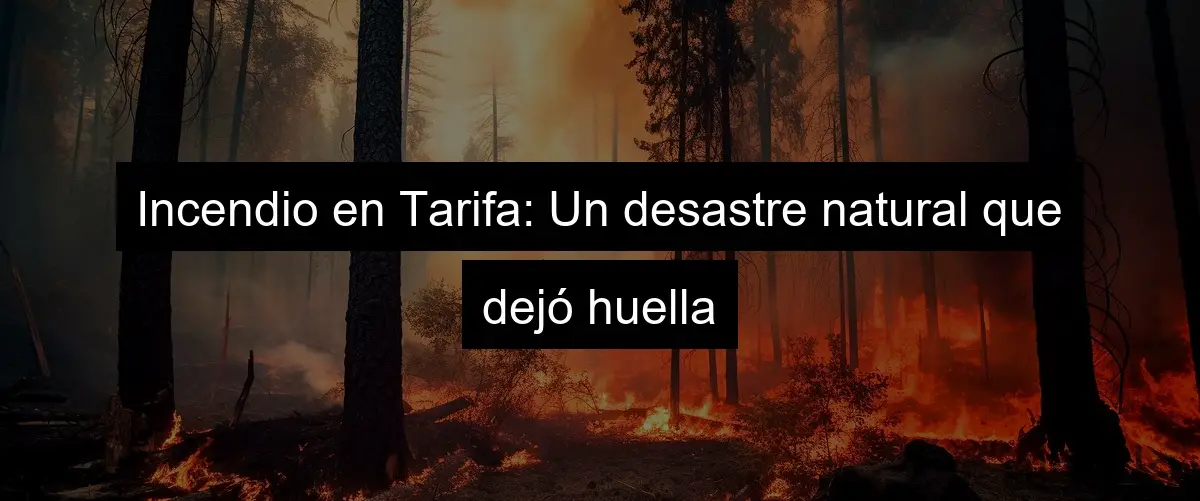 Incendio en Tarifa: Un desastre natural que dejó huella