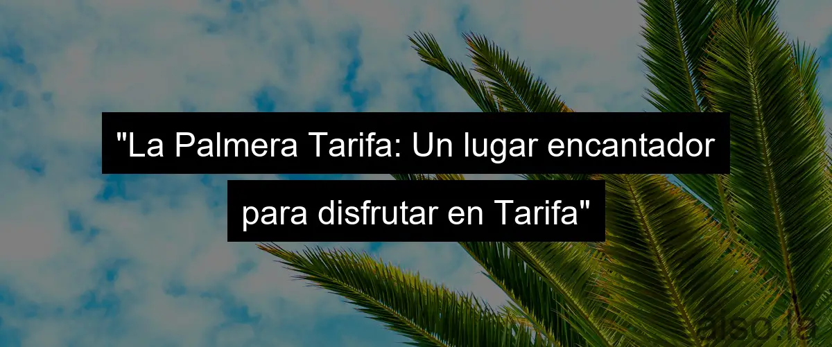 "La Palmera Tarifa: Un lugar encantador para disfrutar en Tarifa"