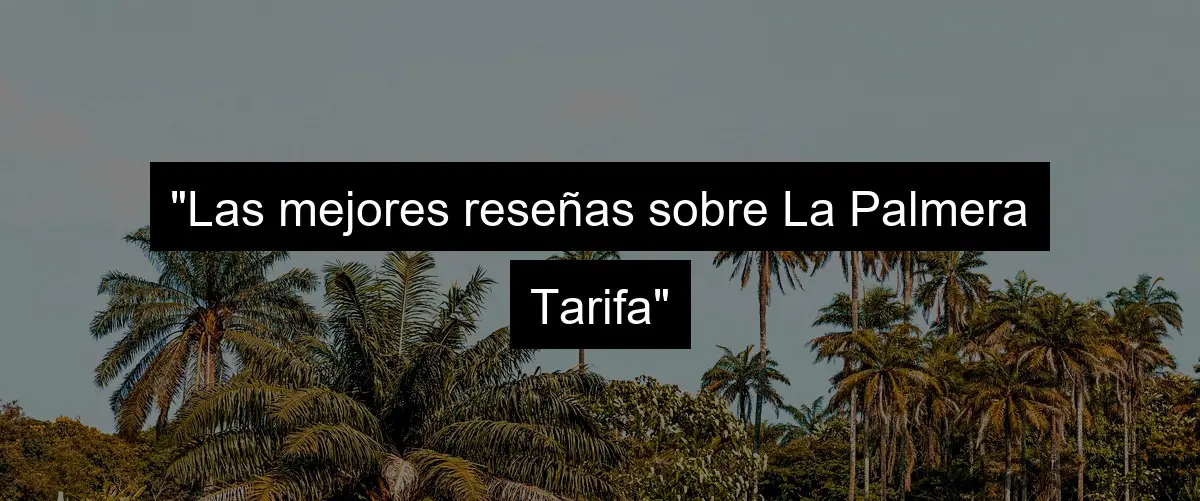 "Las mejores reseñas sobre La Palmera Tarifa"