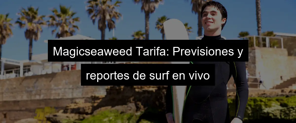 Magicseaweed Tarifa: Previsiones y reportes de surf en vivo