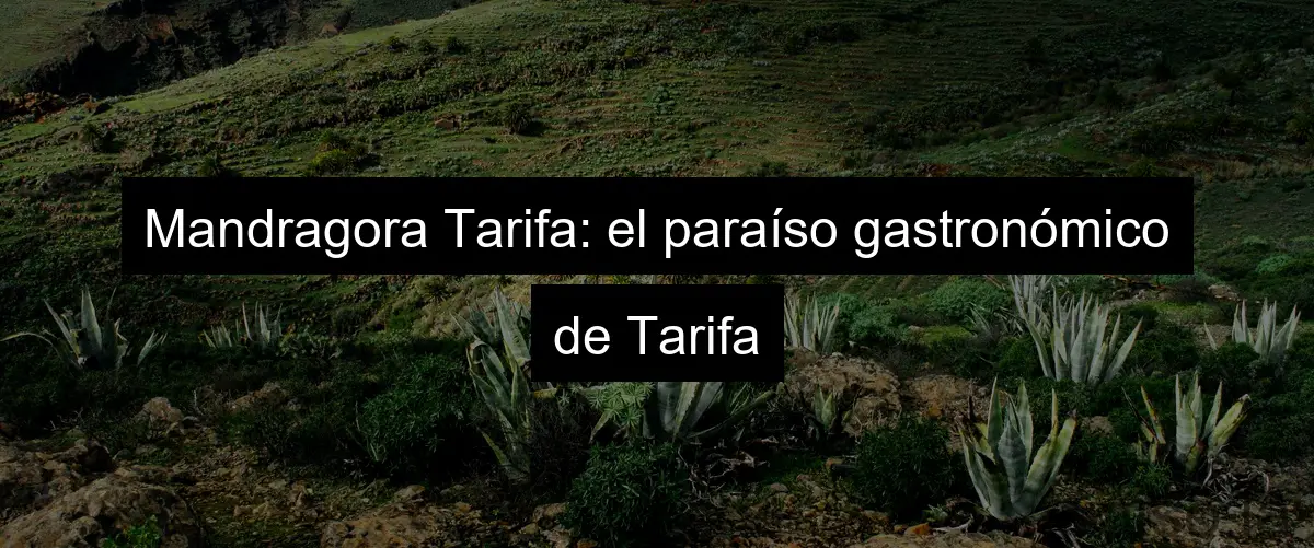 Mandragora Tarifa: el paraíso gastronómico de Tarifa