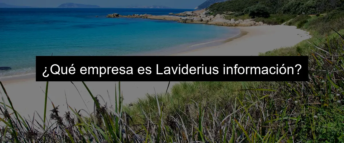 ¿Qué empresa es Laviderius información?