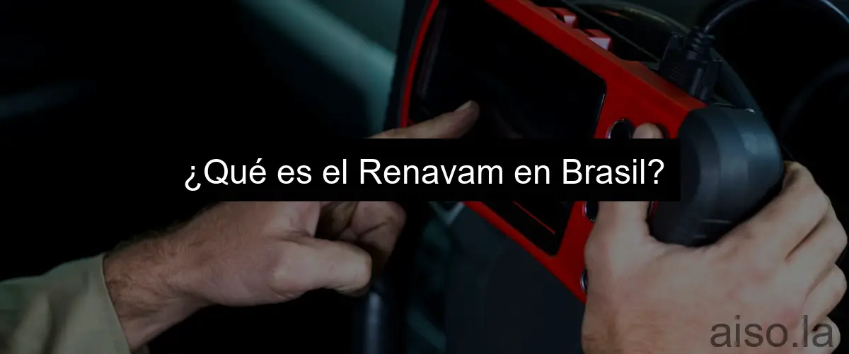 ¿Qué es el Renavam en Brasil?