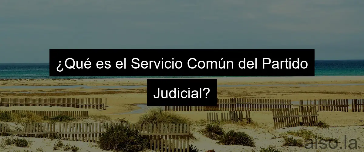 ¿Qué es el Servicio Común del Partido Judicial?