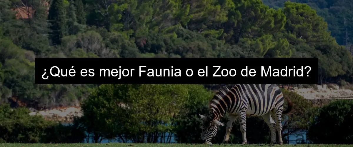 ¿Qué es mejor Faunia o el Zoo de Madrid?