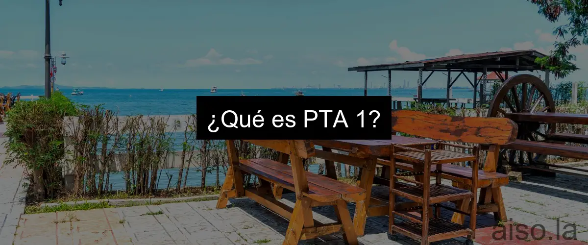 ¿Qué es PTA 1?