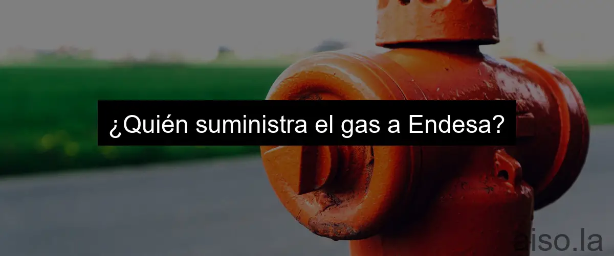 ¿Quién suministra el gas a Endesa?