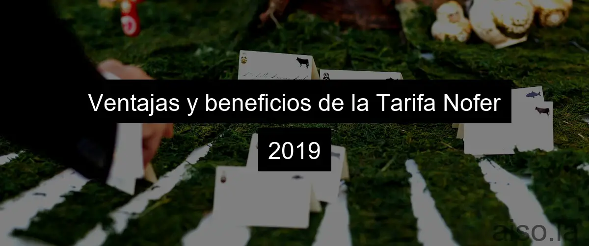 Ventajas y beneficios de la Tarifa Nofer 2019