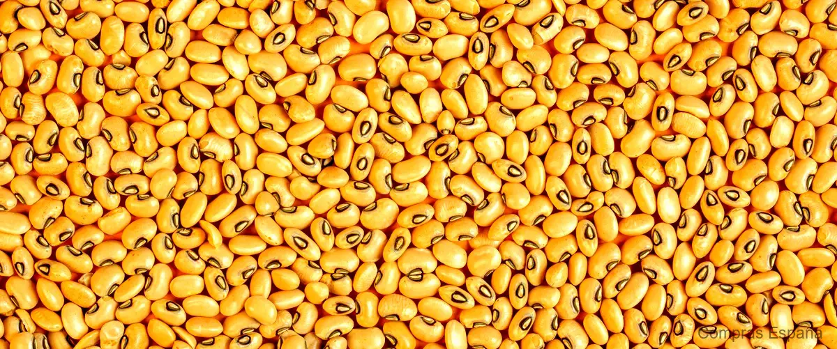 ¿Cómo se utilizan las semillas de mostaza?