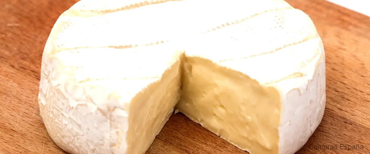 ¿Cuál es el queso fresco en Mercadona?