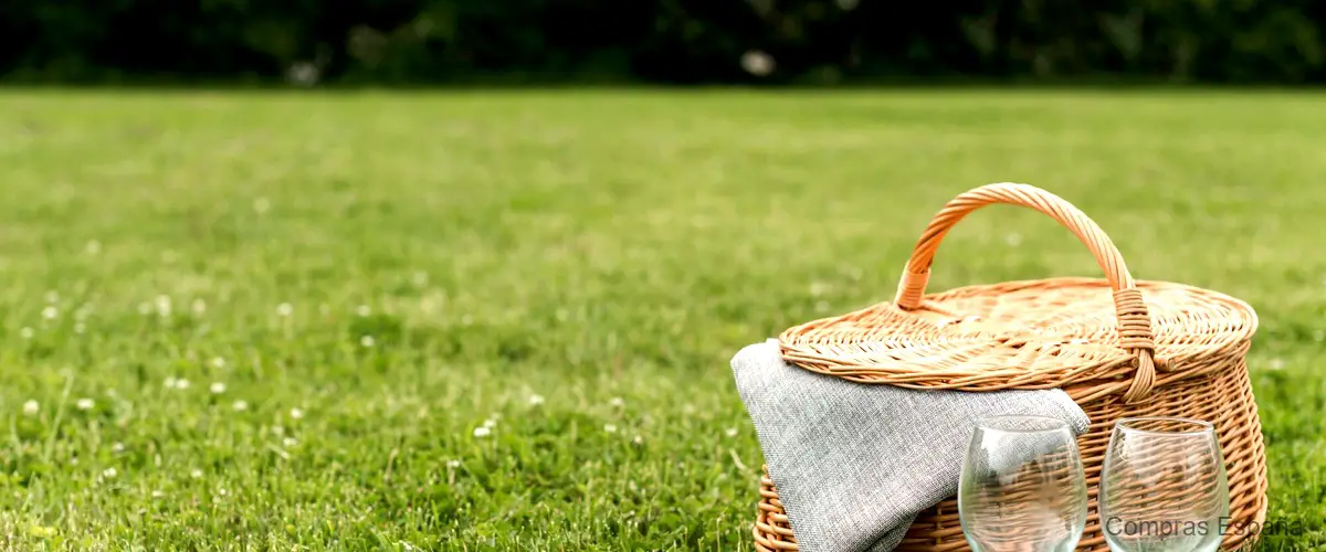 Descubre las increíbles mochilas picnic disponibles en Decathlon