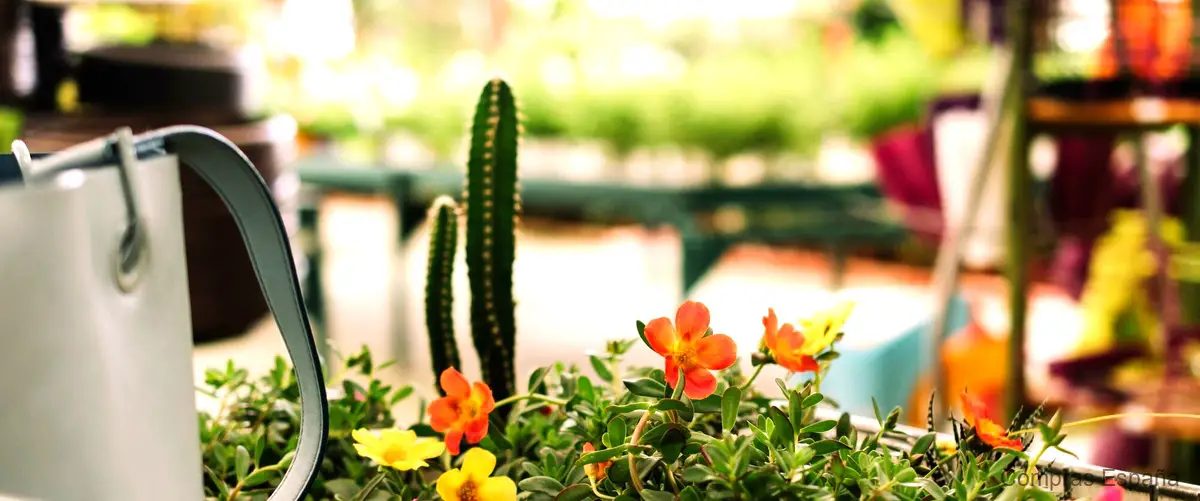 Encuentra los mejores productos para tu jardín en el catálogo de Florabest