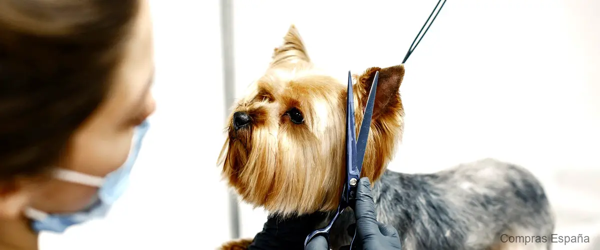 Máquina cortar pelo perros en Mediamarkt: la opción perfecta para una precisión profesional