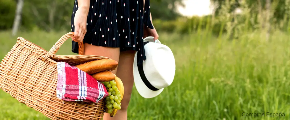Mochila picnic: la opción perfecta para disfrutar del aire libre en pareja