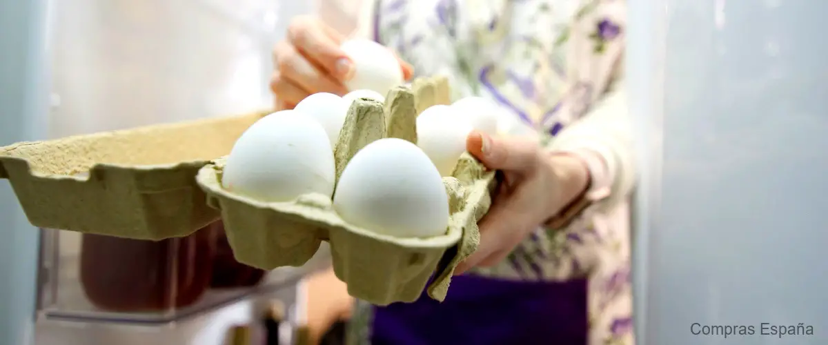 ¿Qué contiene el huevo pasteurizado?