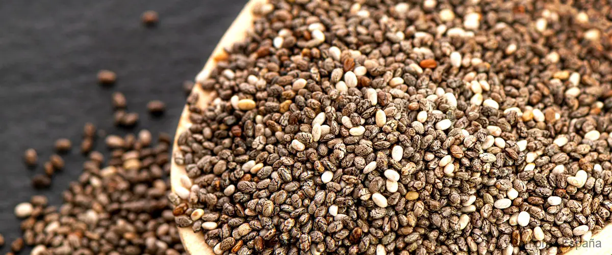¿Qué hacen las semillas de chía?