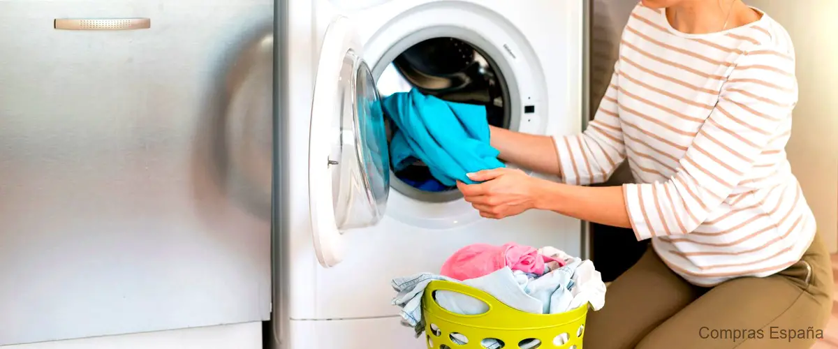 ¿Qué puedo hacer para eliminar el mal olor de la lavadora?
