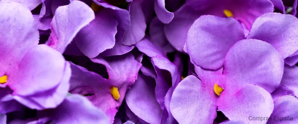 ¿Qué sucede si uso violeta de genciana?