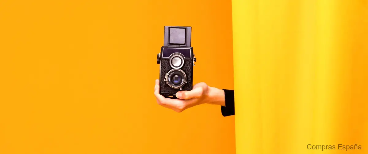 ¿Qué tipo de cámara es una Nikon D5600?